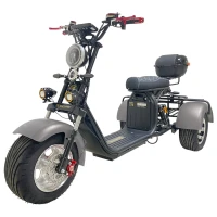 Электроскутер трехколесный CITYCOCO GT X11 PRO TRIKE 2024 Серебристый
