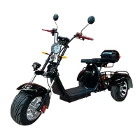 Электроскутер трехколесный CITYCOCO GT X11 TRIKE 2023 Черный глянец