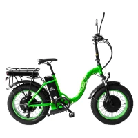 Электровелосипед Elbike Taiga 1 Twix 2000 Зеленый (2x1000w 2х48v16a)