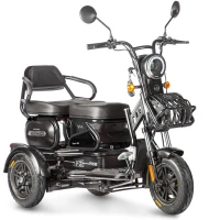 Электротрицикл Wanshida HOT HATCH 60V 650Вт Черный 